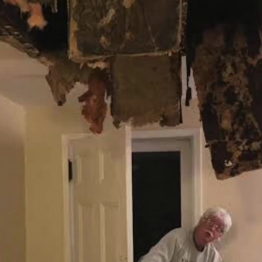  20% OFF ROOF RESTORATIONS SPECIAL! ✅ Tile & Metal Roofs ✅ Free Quotes Sydney Wide Our Services: ✅ Roof Restorations ✅ Roof Painting ✅ Roof Cleaning Restore your roof and keep it in good shape with our high-quality solutions that won't break the bank.  Click Below & Get 20% Off Your Free Quote!  Limited Time Only Special. Click Below For A Free Quo | Revive Group | Facebook