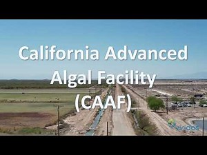 Virtual tour & intro to CAAF