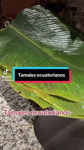 Deliciosos Tamales Ecuatorianos para Disfrutar