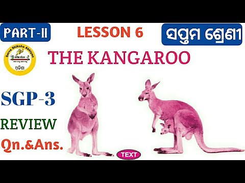 'THE KANGAROO' Class 7 English lesson 6 SGP-3 Review with questions answer discussion