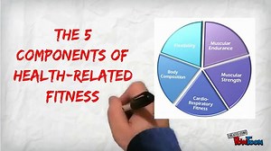 The 5 Components of Health Related Fitness