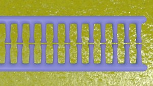 3d Animation Dna Replication Process Replication Stock Footage Video (100% Royalty-free) 1053918992 | Shutterstock