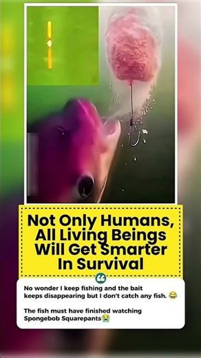 Not Only Humans… Even Fish Are Learning 😄🐟 #viral #fyp #shorts