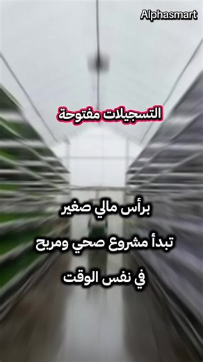 Vidéos de Alphasmart (@alphasmart.dz) avec Cool EDM Tensions Raised - G-axis sound music