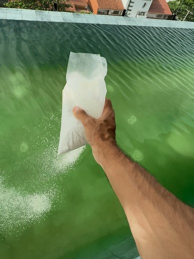 Recuperación de Piscina Verde: Guía Paso a Paso