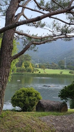 푸치니 오페라 나비부인 중 어느 개인 날 Un bel di vedremo 레나타 테발디 sop. 마리아 칼라스와 함께 동시대를 수놓던 거장 소프라노_보성cc 늪지