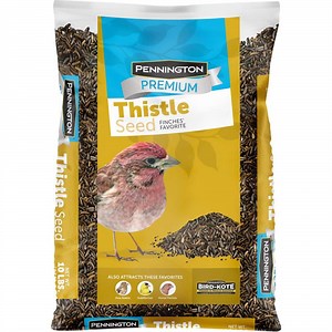 Reviews for Pennington Premium 10 lb. Thistle Nyjer Bird Seed Food for Finches and More Wild Bird Feed | Pg 1 - The Home Depot
