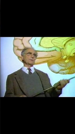 90's IKEA 'PROFESSOR' CHRISTMAS COMMERCIAL #lostmedia #nostalgia #tvads #retro #tvadvertising