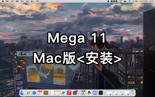 [MAC版]Mega 11常见错误解决教程