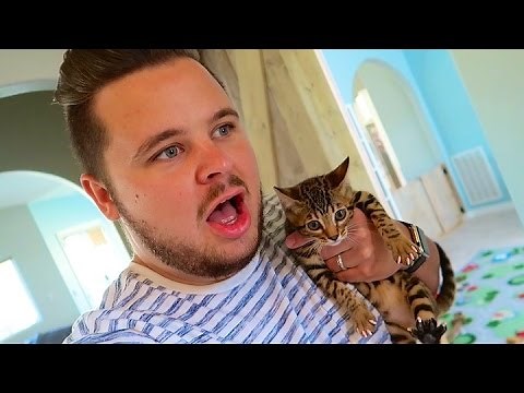 SURPRISE BIRTHDAY GUESTS!