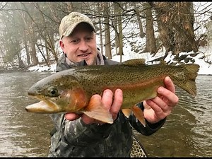 2018 Winter Trout Fly Fishing W/ Hook Ups and Tips Lively Legz