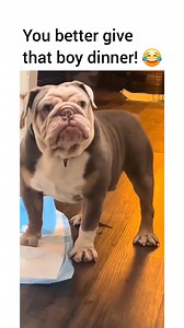 17K views · 174 reactions | The facial expression says it all!  | Awesome World | Facebook