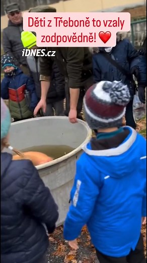 82K views · 611 reactions | Bílý sumec Fanda se na zimu vrátil zpět do rybníka Svět v Třeboni na Jindřichohradecku. Vytáhli ho z něj zdejší rybáři při nedávném výlovu. Aktuálně je mu 28 let, váží 54 kilogramů a měří 280 centimetrů. Na jeho cestě ze sádek do rybníka ho doprovodily i děti.  Třeboňský kapr | iDNES.cz | Facebook