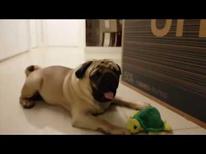 Smart TV 4K 50 Polegadas SAMSUNG, RU7100 - 7 SERIES - Unboxing e Review