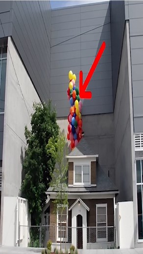 Edith Macefield & the real life Up house | Be Amazed