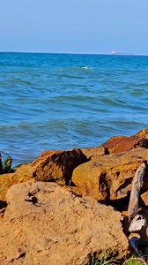 7.6K views · 259 reactions | #Oramos Gracias Rey de Reyes por un nuevo día y semana que arrancamos con tu única bendición #Amen #Diosesbueno | Notición.co | Facebook