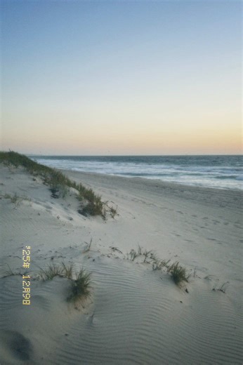 Understanding the Lyrics of Your Favorite Songs