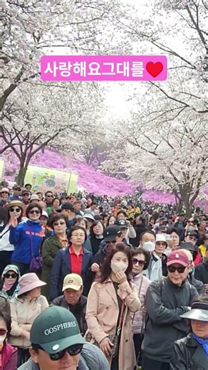 #우리는청춘소녀시대#무대는우리의청춘#부천원미산진달래축제#리드보컬#상임#원곡/임영웅#임영웅