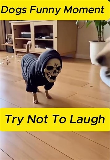Dog Wearing Horror Mask Scares His Buddy 😂