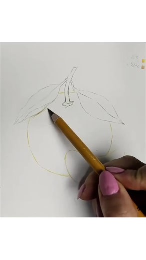 Watch the colors bringing this drawing to life... 😍 #artducrayon24 #colors #fruit #sketch #drawings #pencilart #pencil #art #fyp #pourtoii #foryoupage❤️❤️