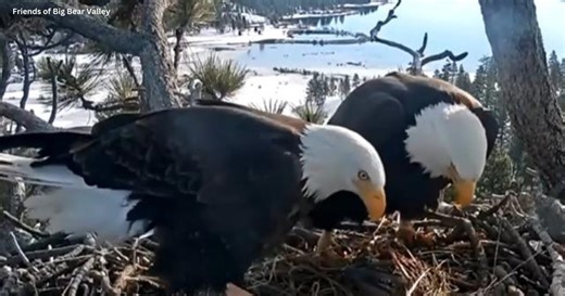 Proposed Big Bear housing development met with protest from community members