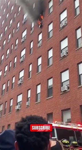 Mother Cat Jumps From a Burning Building What Happens Next Shocked Everyone#CaughtOnCamera#cat