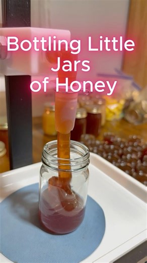 Bottling Little Jars of Honey