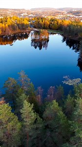 Autumn vibes in Oslo🍁 Have a wonderful friday and weekend! Music: Ophelia Wilde - autumn Norway 🇧🇻 | Oddvar Arnesen, Norway.