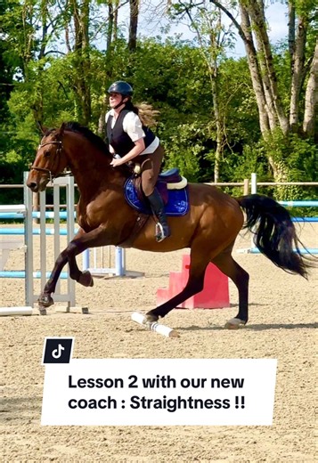 Transform Your Horse Riding Lessons with New Coaching