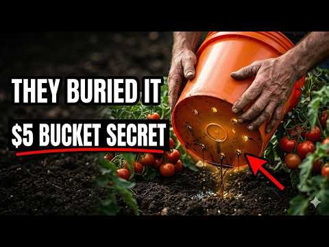 The Amish Composting Method That Feeds 40 Plants From a Single 5-Gallon Bucket...