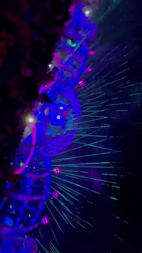 Recording & dancing is a hard task but wow 🥲 #edclv2021