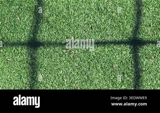Close-up green grass, natural greenery texture of lawn garden. Stripes after mowing lawn court. Concept natural green background, lawn for training football pitch, Golf Courses, green lawn pattern Stock Video Footage - Alamy