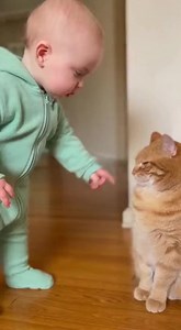 16K views · 83 reactions | “Serious Baby vs Cat: The Most Intense ‘Talk’ Ever ” #funnybaby #cutebabies #babyandcat #viralshorts #fyp #reelsviral #tiktokviral #petlife #cutepets #viralvideo #animalsandkids #babylove #funnyanimals #comedyshorts #adorablemoments | Baby Fun World | Facebook