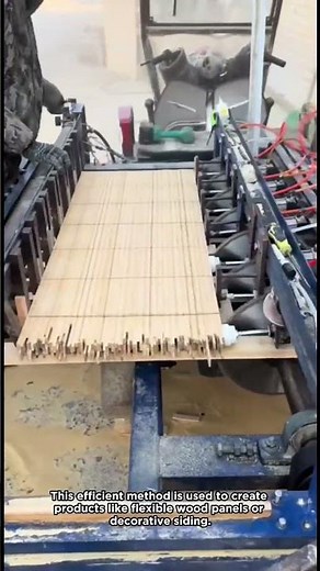 Multi Blade Gang Saw Cutting Wood Panels