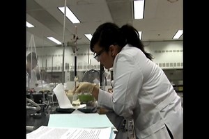 Chemical Hygiene and Engineering