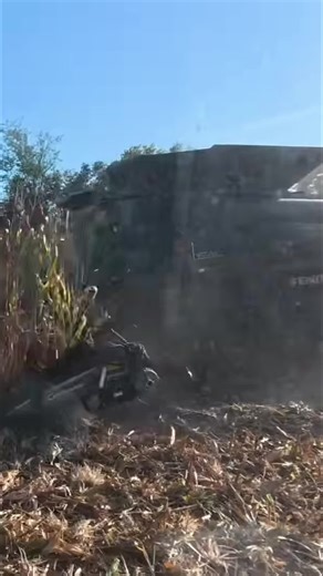 Brian Brown on Instagram: "The day's work is done, but there's more to do. The team's moving everything to the old grain bins at the other farm to prep for tomorrow's corn. Gotta keep moving! #harvest #farming #agriculture #cornharvest #farmwork #harvest2024"