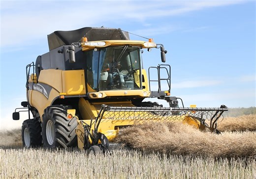 VIDEO: Record wheat, canola crops pressure prices | The Western Producer