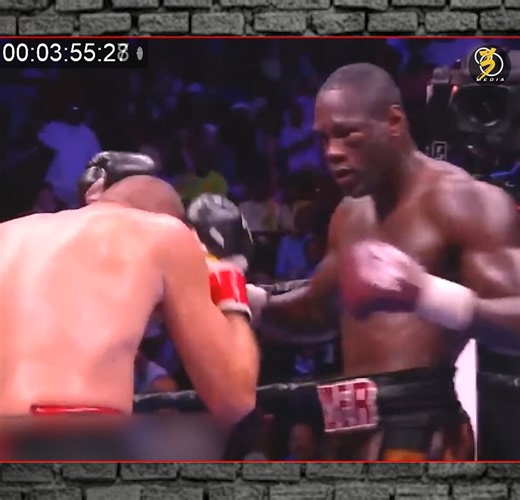 Wilder vs Duhaupas 💪 Duhaupas is the most durable boxer I've ever seen ❓💪 | Street Fight Europe
