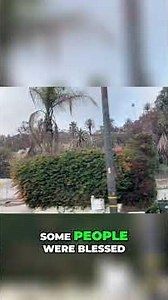 Malibu’s Devastating Fires – A Look Back at the 90s Destruction