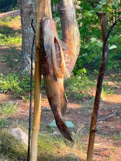 Smoked Catfish Over Open Fire | Bushcraft Catch & Cook | 416 Outdoors