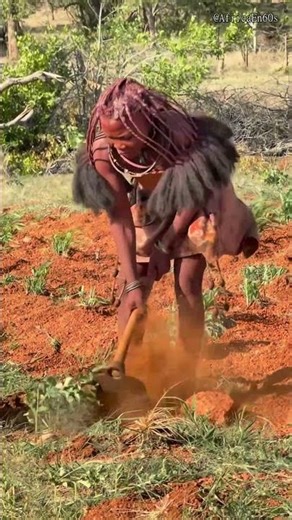 The Strength of Mutua Women in Angola #africa #tribus #shorts