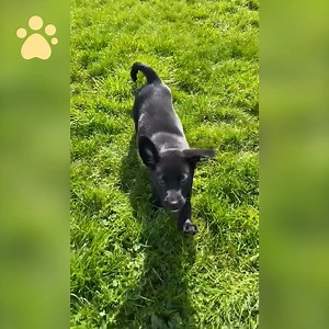 15K views · 506 reactions | What better way to ease yourself into the...