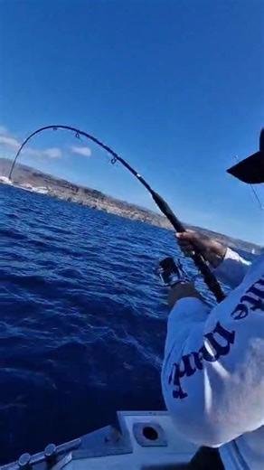 Exciting Big Game Fishing Experience: Amberjack & Wahoo