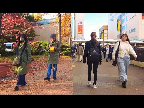 [4K]🇯🇵 Tokyo Walk Long - Machida Autumn Walk: Shrine, Park & D51 - Nov. 2025