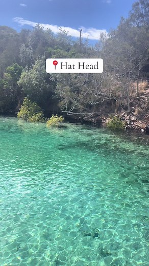 Creek Days = Best Days ☀️ #frangipanibeachhousehathead #hathead #midnorthcoastnsw #visitnsw #travel #travelaustralia #nsw #australia #seeaustralia #holidayherethisyear #travelnsw #tiktoktravel #traveltok #giveittome