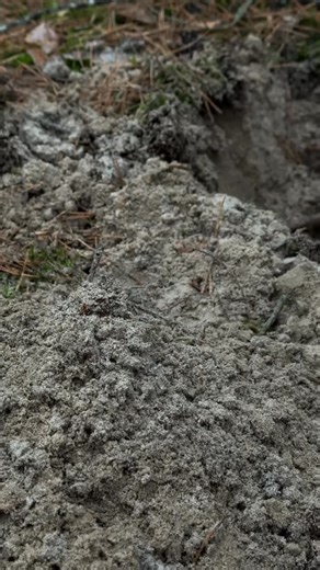 CKG_official | Pinpointer | SandScoops | Metal Detecting Shovels | The power of the CKG pinpointer 💪 | Instagram