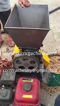 Petrol Coffee pulper machine peeling coffee bean in Kenya farm