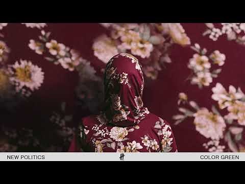New Politics - Color Green (Audio)