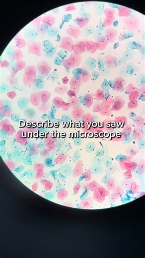 #citologia #microscope #laboratory #medicaltiktok #MedExpert
