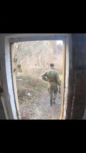 Pure Chaos in Cortanovci